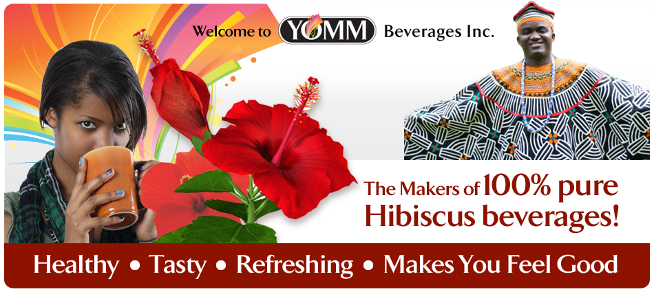 Hibiscus Tea Bags - YOM Beverages Inc. - Healthy Drinks - Winnipeg Manitoba